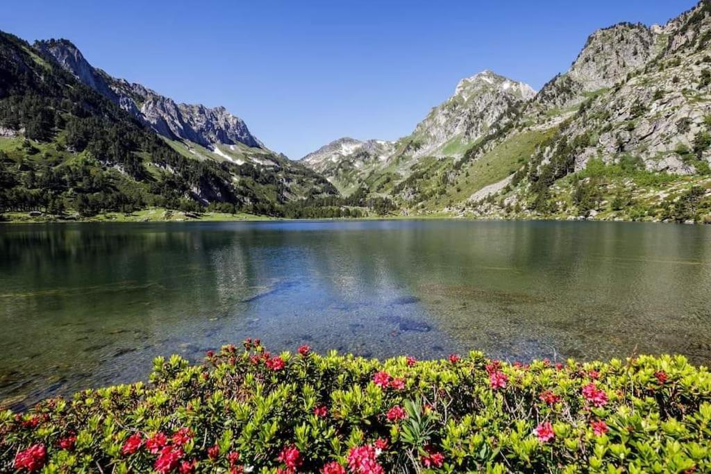 Gite La Grangette De Pauline Mercus-Garrabet ภายนอก รูปภาพ