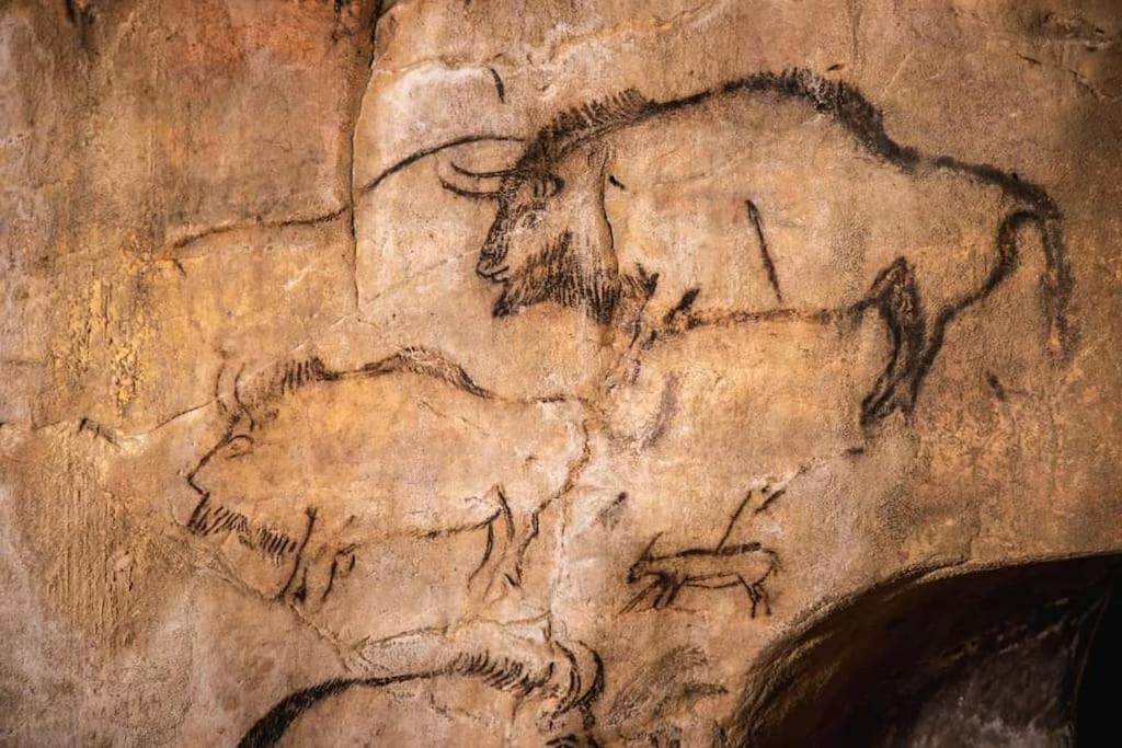 Gite La Grangette De Pauline Mercus-Garrabet ภายนอก รูปภาพ