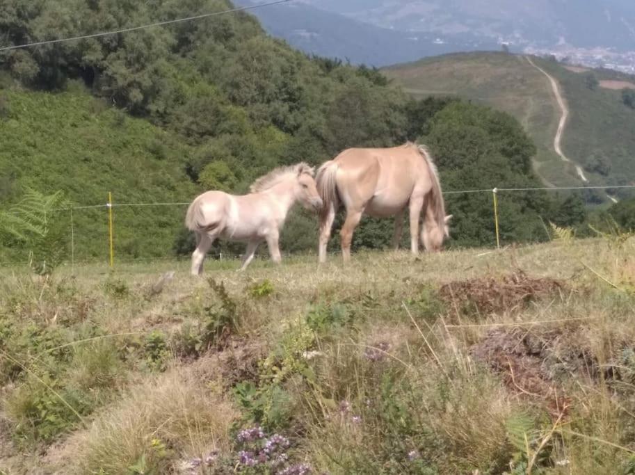 Gite La Grangette De Pauline Mercus-Garrabet ภายนอก รูปภาพ