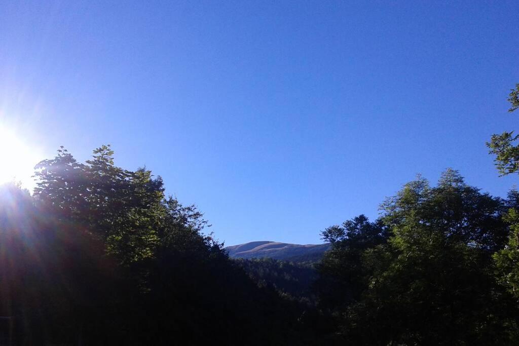 Gite La Grangette De Pauline Mercus-Garrabet ภายนอก รูปภาพ