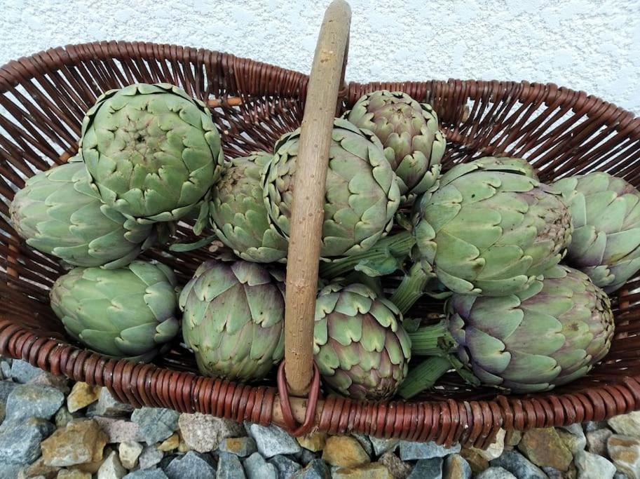Gite La Grangette De Pauline Mercus-Garrabet ภายนอก รูปภาพ