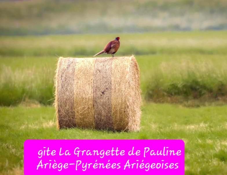Gite La Grangette De Pauline Mercus-Garrabet ภายนอก รูปภาพ